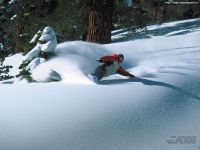 snowboard.26037-80-c200xc150.jpg